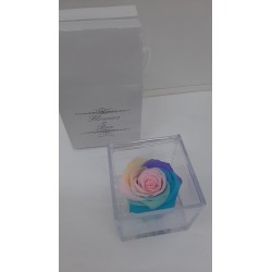 Cubo 8x8 Comp. Rosa E Gel New Rainbow