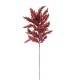 ASTILBE CM. 65 BURGUNDY