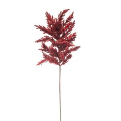 Astilbe Cm. 65 Burgundy