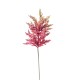 ASTILBE CM. 65 MAVUE