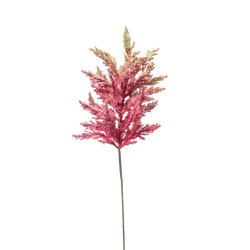 Astilbe Cm. 65 Mavue