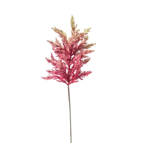 ASTILBE CM. 65 MAVUE