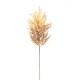 ASTILBE CM. 65 BEIGE