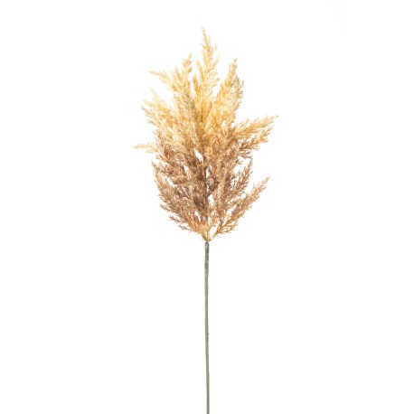 ASTILBE CM. 65 BEIGE