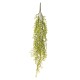 CASCANTE ERBETTA CM.83 GREEN