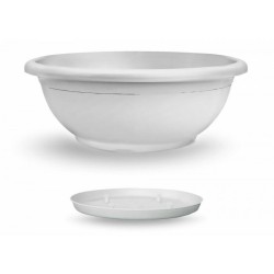CIOTOLA NAXOS D.60 CON SOTT. AD INCASTRO BIANCO