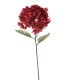 ORTENSIA DRY RED