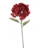 ORTENSIA DRY RED