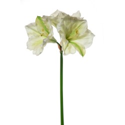 Amaryllis Natural Touch Cm.80 Cream