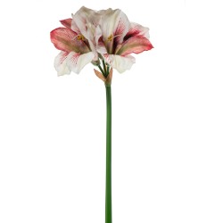 Amaryllis Natural Touch Cm.80 Beauty