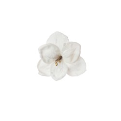 AMARYLLIS DELUXE WHITE VELVET CM.23