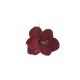 AMARYLLIS DELUXE BURGUNDY VELVET CM.23