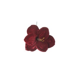 Amaryllis Deluxe Burgundy Velvet Cm.23