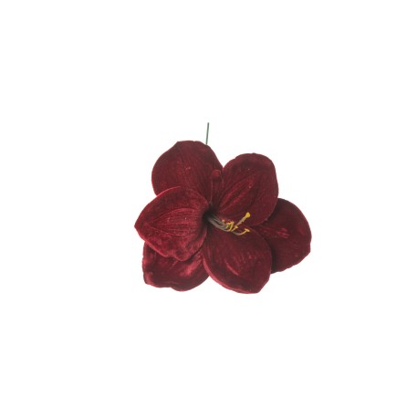 AMARYLLIS DELUXE BURGUNDY VELVET CM.23