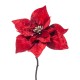 POINSETTIA VELLUTO CM.65 RED