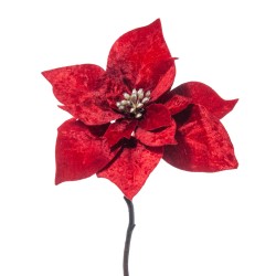 Poinsettia Velluto Cm.65 Red