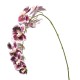 ORCHIDEA NATURAL TOUCH ORCHID X11