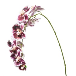 ORCHIDEA NATURAL TOUCH ORCHID X11
