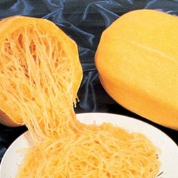 Zucca  Spaghetti  (semi)