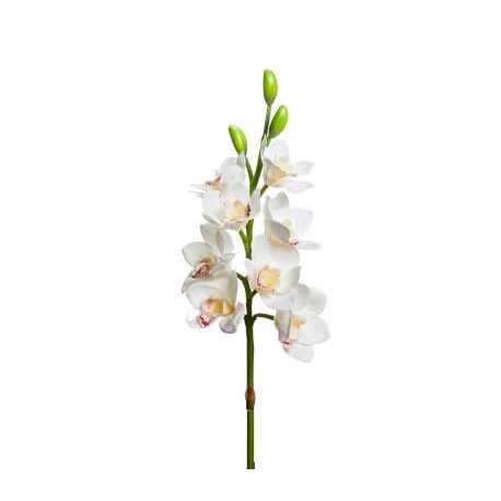 CMBYDIUM 8 FIORI 3 BOCCIOLI CM 77  WHITE