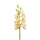 CMBYDIUM 8 FIORI 3 BOCCIOLI CM 77  YELLOW