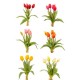 BUNDLE TULIPANI NATURAL TOUCH CM.35 ASS