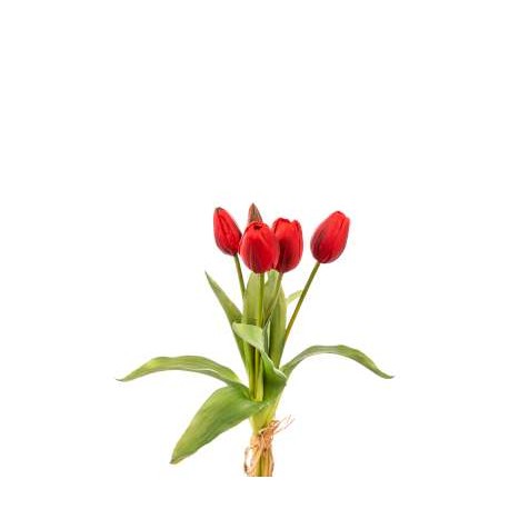 BUNDLE TULIPANI NATURAL TOUCH CM.35 RED