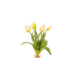 Bundle Tulipani Natural Touch Cm.35 White