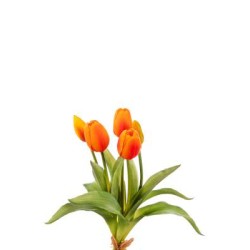 Bundle Tulipani Natural Touch Cm.35 Orange