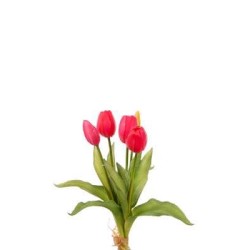 Bundle Tulipani Natural Touch Cm.35 Beauty