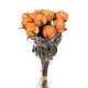 BUNDLE ROSINO ROMANTICO X 12 CM.37 ORANGE