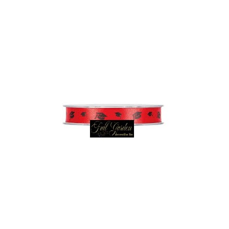 NASTRO LAUREA MM12X25MT RED/BLACK