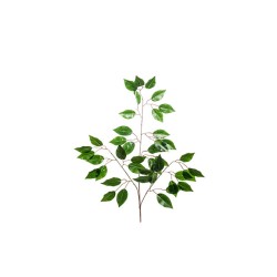 Foglia Di Ficus X 42 H Cm 56