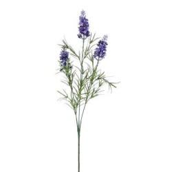 Lavanda X3 H.cm.60 Purple