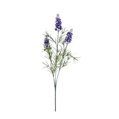 LAVANDA X3 H.CM.60 PURPLE