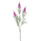 LAVANDA X3 H.CM.60 LAVANDER