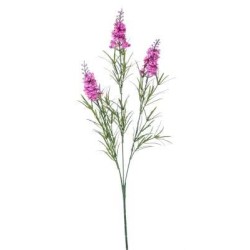 LAVANDA X3 H.CM.60 LAVANDER