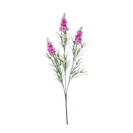 LAVANDA X3 H.CM.60 LAVANDER