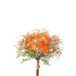 Bundle Pom Pom Cm 35 Orange