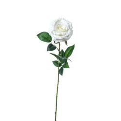 ROSA LAURA  CM.78 WHITE