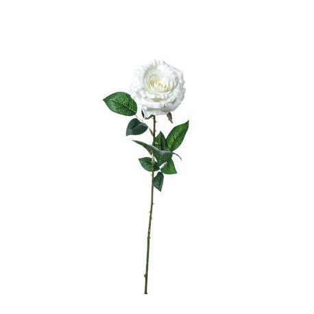 ROSA LAURA  CM.78 WHITE