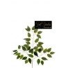 Foglia Ficus X 42 H.cm. 56 Green