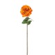 ROSA SIENNA GLD