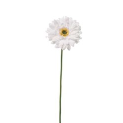 Gerbera Singola Cm.49 White