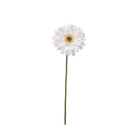 GERBERA SINGOLA CM.49 WHITE