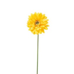 GERBERA SINGOLA CM.49 GIALLO