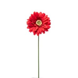 GERBERA SINGOLA CM.49 RED