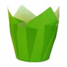 Pirottini Muffin Tulip Cup Verde 20pz Diam.5