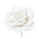 PICK ROSA DELUXE VELVET WHITE