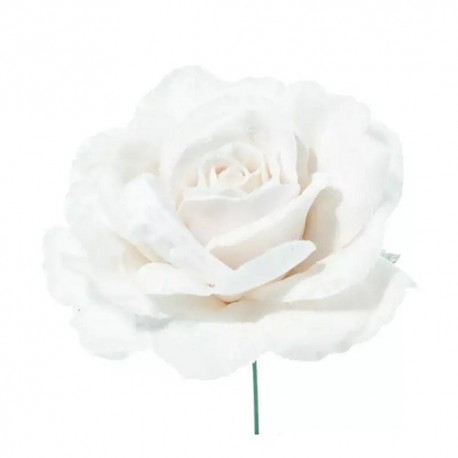 PICK ROSA DELUXE VELVET WHITE